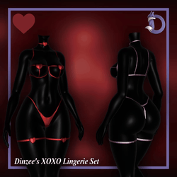 Dinzee's XOXO Lingerie Set