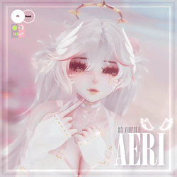[AERI] PC + VRCFT [UE]