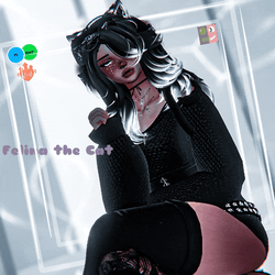 Felina the Cat