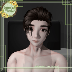 Sonny Head (Male Sunny Head Edit)