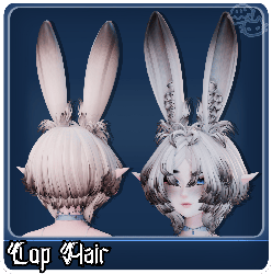 Lop Hair+Ears