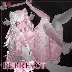 PURRFECT ⇨ VRCFT ⇦
