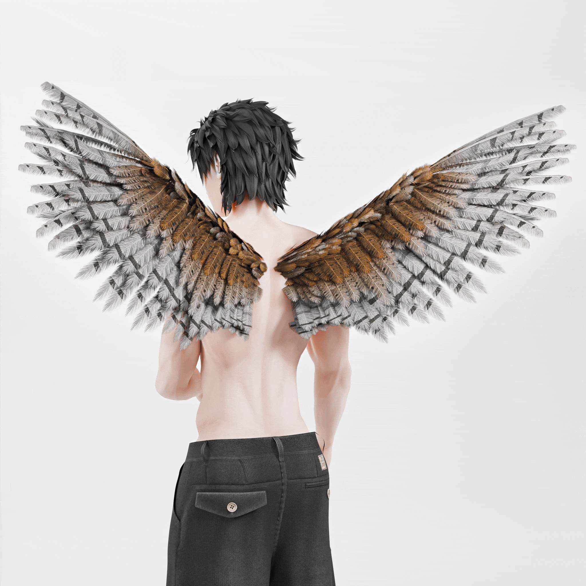 Bird Wings