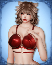 CI - Bra