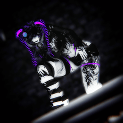 ☾︎𝑵𝑶𝑽𝑨☽︎ (PC+Q/SFW/GOGO)