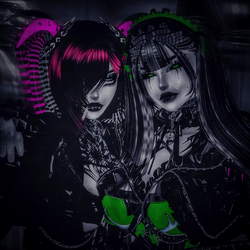 ☾︎𝑵𝑶𝑽𝑨 𝑨𝑵𝑫 𝑵𝑶𝑽𝑬𝑳𝑳𝑬☽︎ 𝑩𝑼𝑵𝑫𝑳𝑬 (PC+Q/SFW/GOGO)