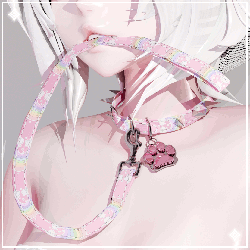 Choker and Leash Set
