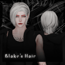 Blake's Hair