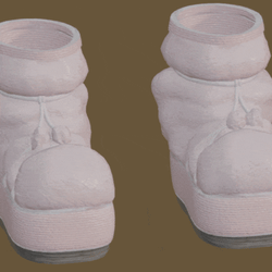 Snxw Boots