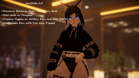 UwUKitty 3.0
