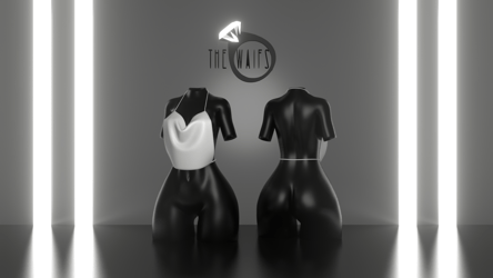 Metallic Top By The Waifs