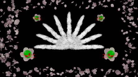 Boa Burlesque Fans (Commercial License)