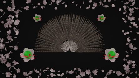 Pheasant Fan (Low poly) (Commercial License)