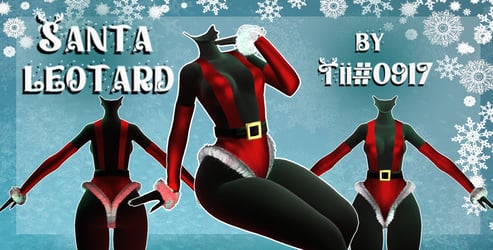 Santa Leotard