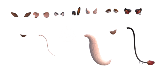 Ears and Tail Collection *Commercial License*