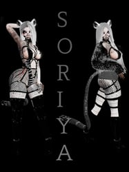 Soriya the Snow Leopard
