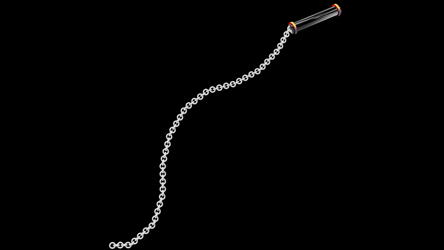 Chain Whip - Server Freebie