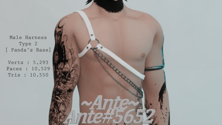 Male Harness Type 2