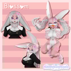 Blossom The Bunny
