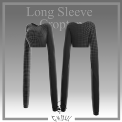 Long Sleeve Croptop