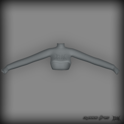 turtleneck top ⋆ 
