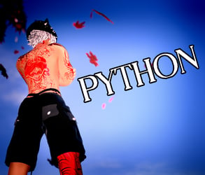 PYTHON (VRChat avatar)