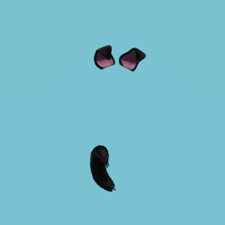 Puppy Set