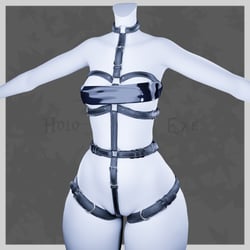 Harness