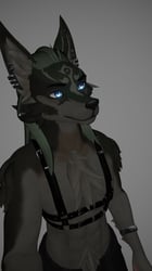 !Wolf Link Archer + emission + clothing!