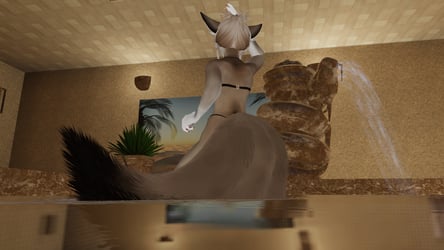 Desert Fox For Kyoko