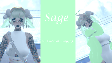 Sage -~Nsfw + Quest~-