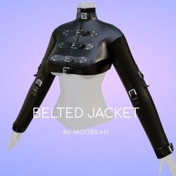 Belted Jacket