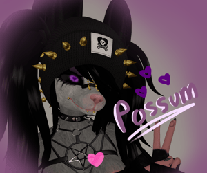 !Possy Possum Rune!