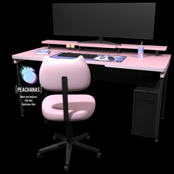 [NE] Pink Computer Set
