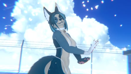 Blue Cutie puppy kyoko