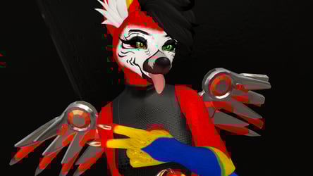 !Macaw Kyoko!