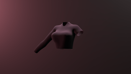 Asymetrical Sleeved Shirt