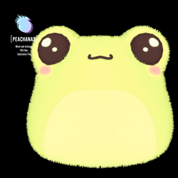 Kawaii Frog Plushie