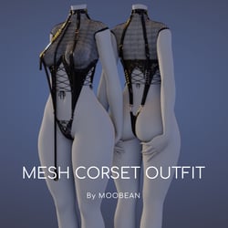 Mesh Corset Outfit