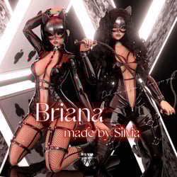 Briana 3.0 DPS PC