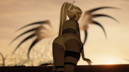 Project Spider