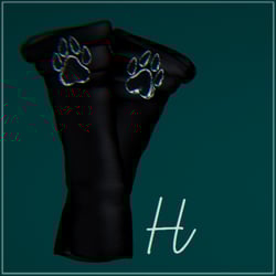Arm warmers