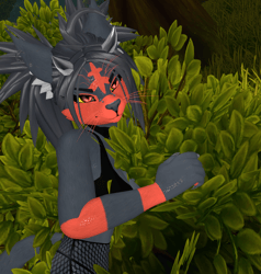 -!Litten Kiri!-