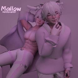 Mallow !