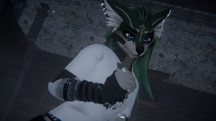-!Wolf Link Akia!-