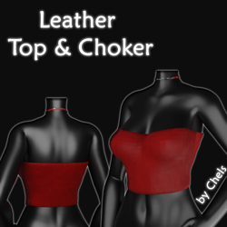 Leather Top & Choker