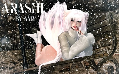Arashi ʚ{ PC only }ɞ ( NSFW & DPS ) + PHYSBONES & gogo )
