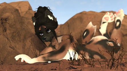 Wild Dog June