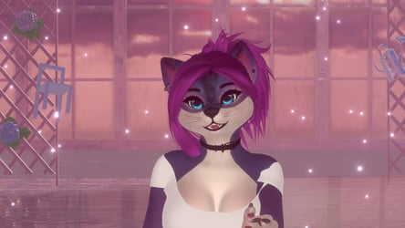 freebie meeko