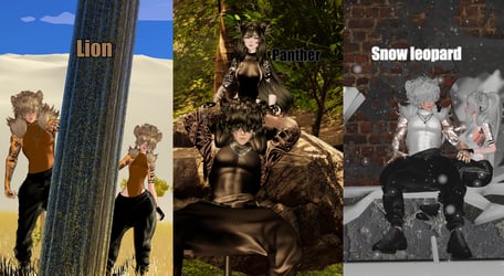 Arthur & Savannah (PC & QUEST COUPLE)